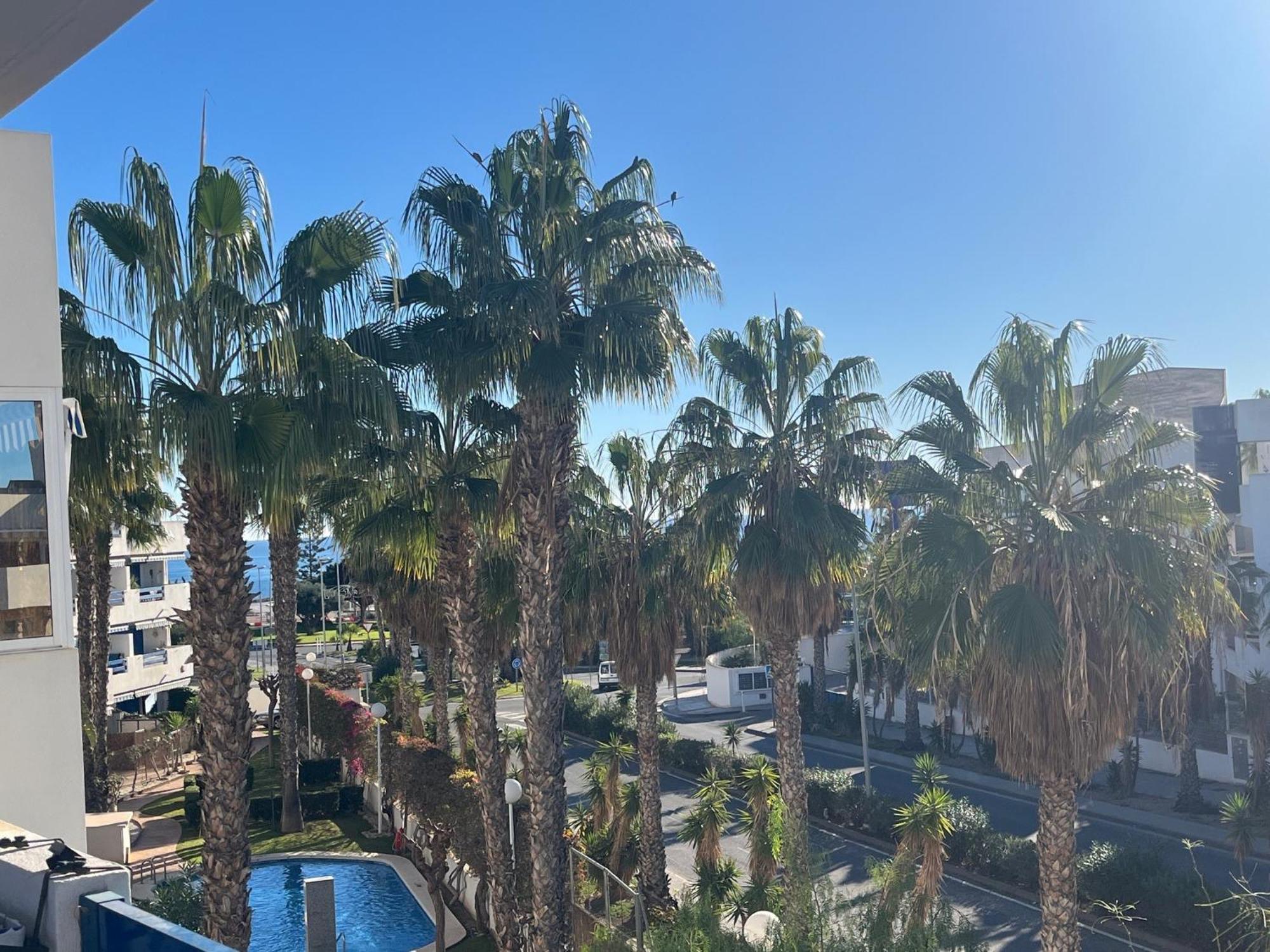 Apartment Palm - La Calma